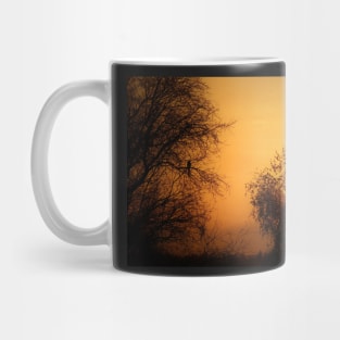 A bird watching the sunset? Mug